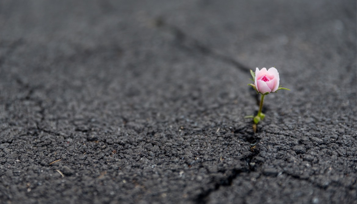 How Adversity can Lead to Resilience, Growth, and Learning for an Opportunity-filled Life